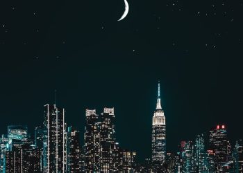 pexels-photo-3052361